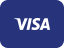 VISA icoon